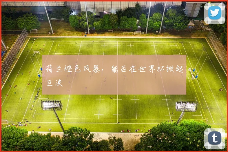 荷兰橙色风暴,能否在世界杯掀起巨浪